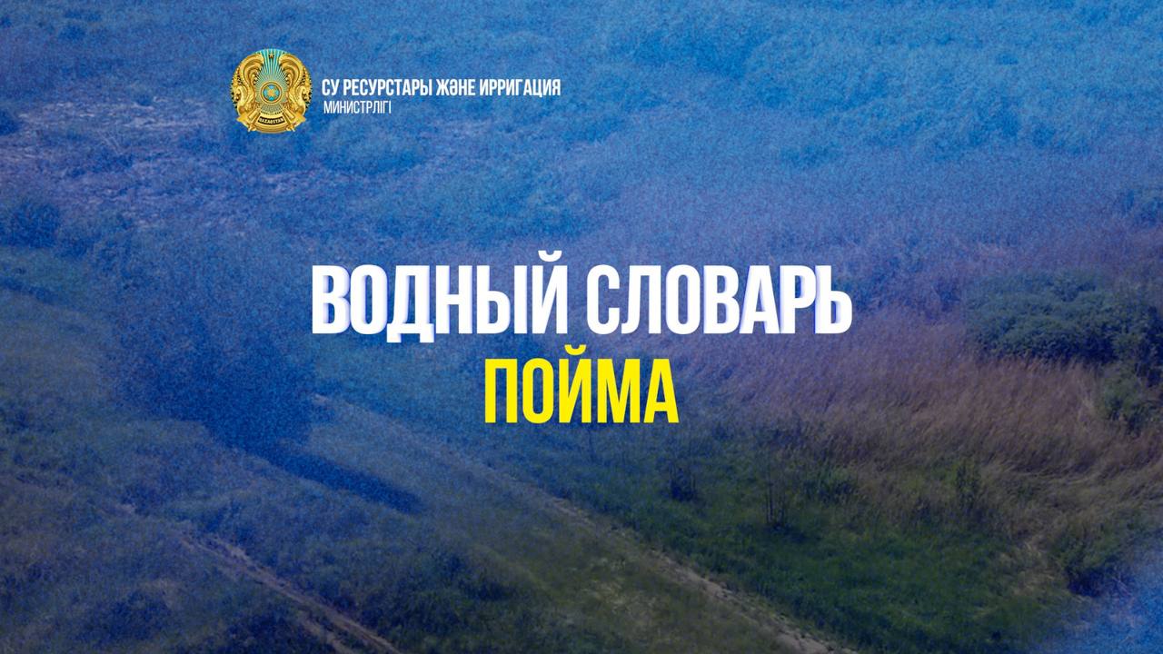 Водный словарь. «Пойма»