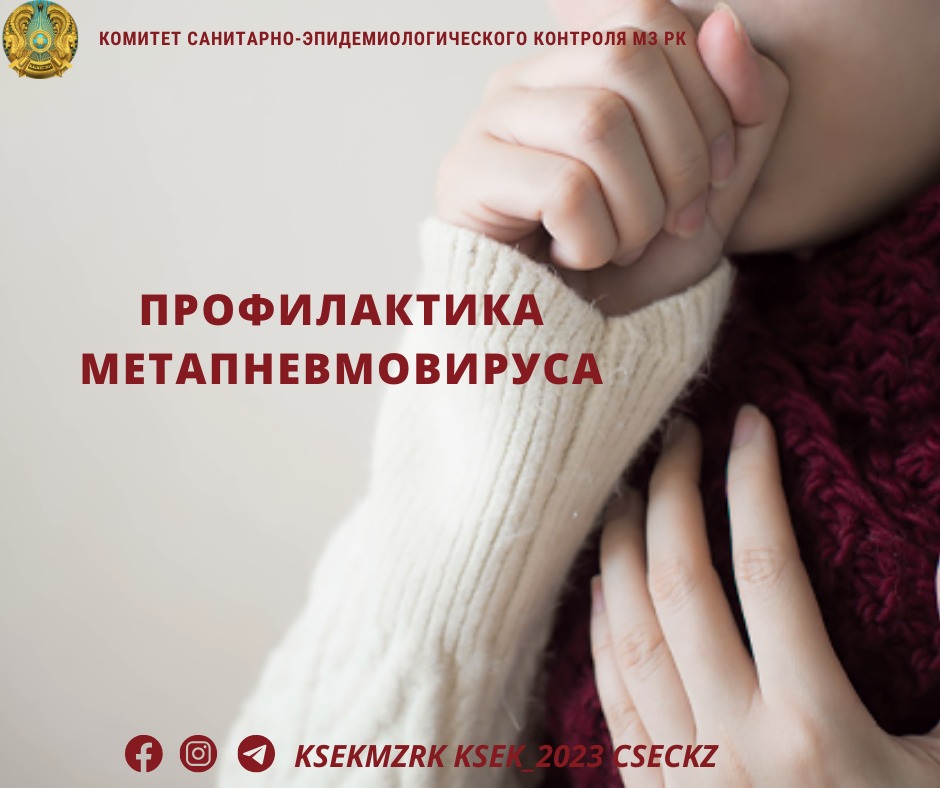 Профилактика метапневмовируса