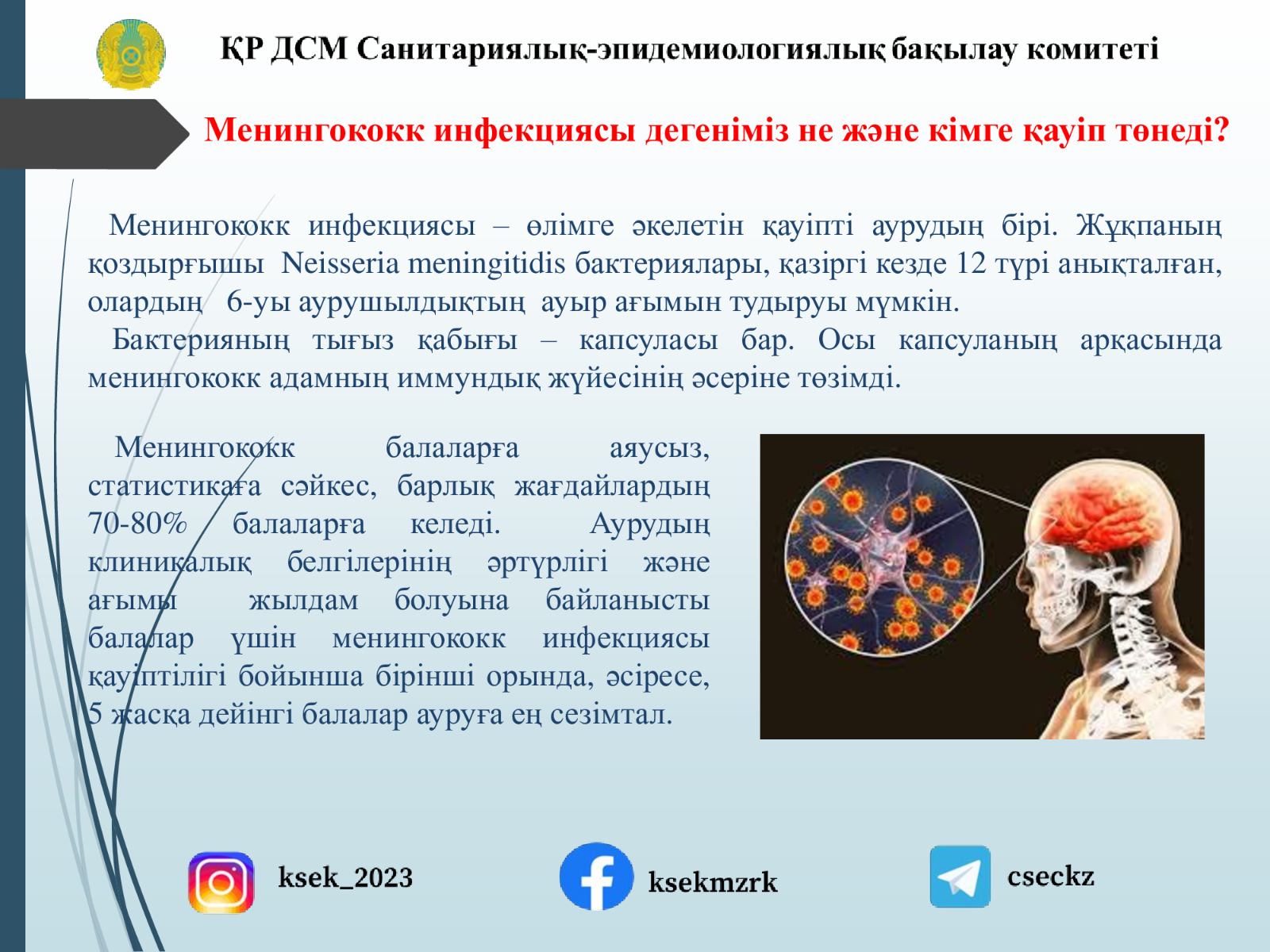 Менингококк инфекциясы дегеніміз не?