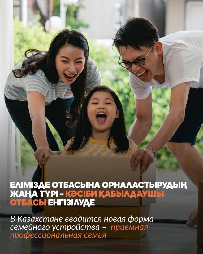Приемная профессиональная семья