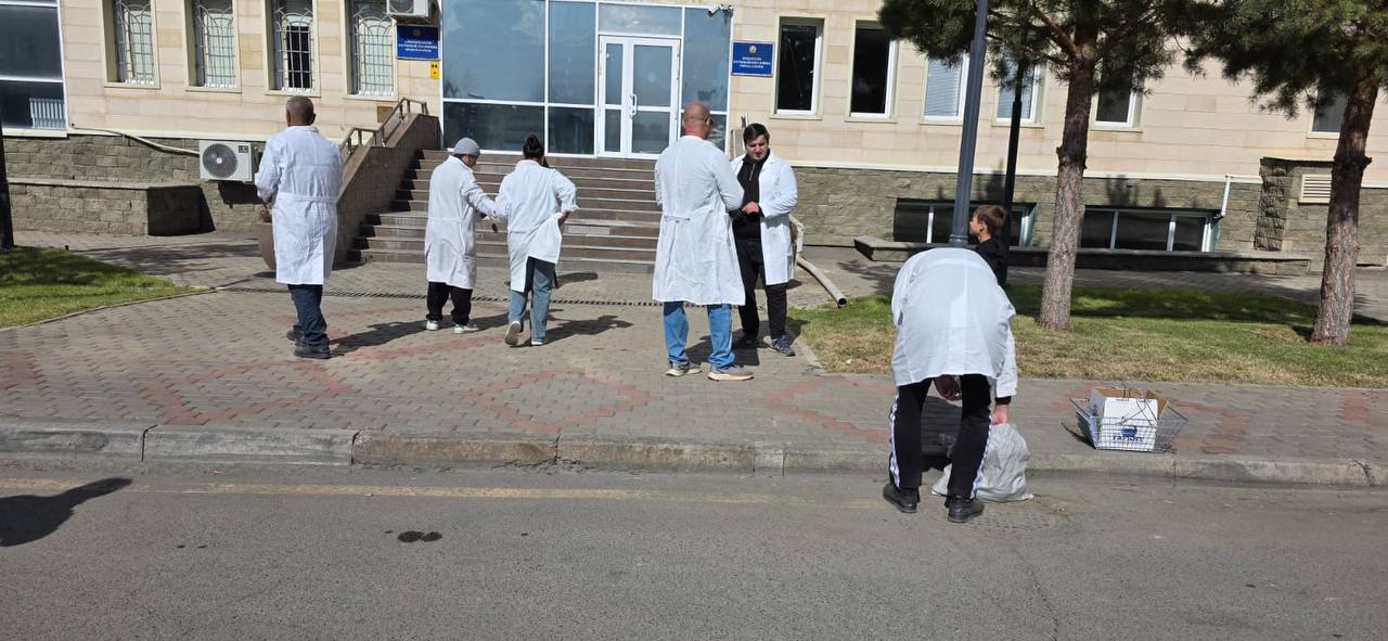 В Наурызбайском районе проводится дератизация на площади более 6200 га