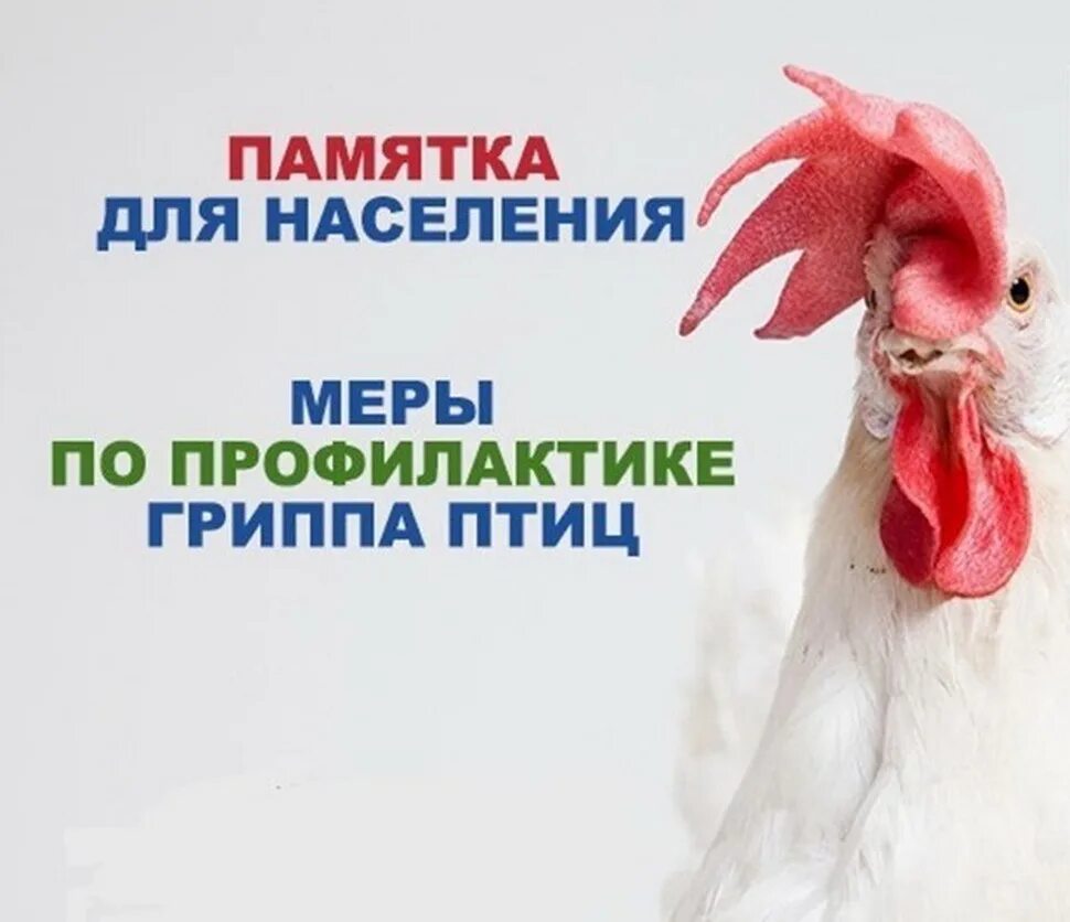 Жадынама ҚҰС ТҰМАУЫ