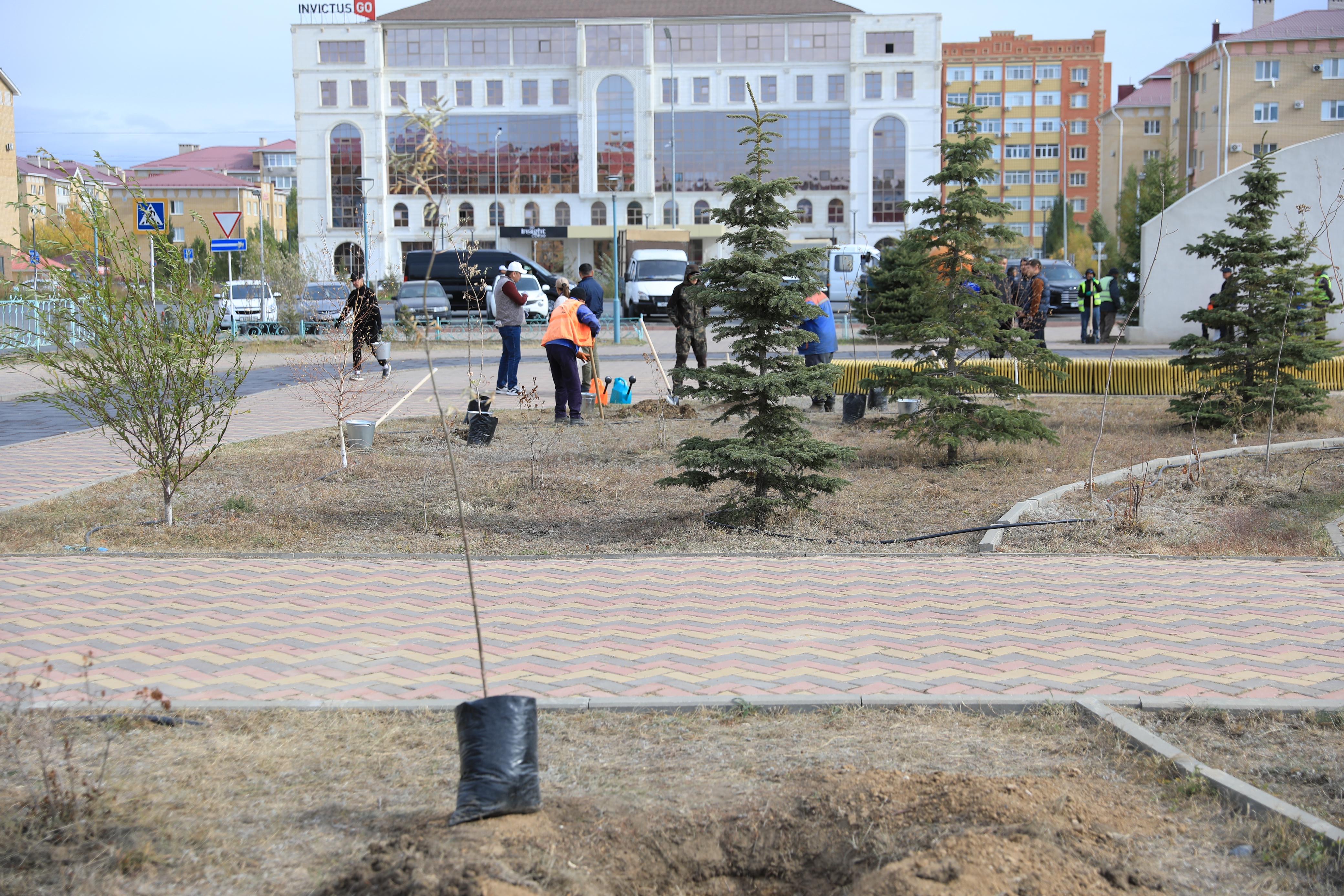 «Таза Қазақстан» акциясы аясында Ақтөбе өңірінде 7300-ге жуық көшет егілді