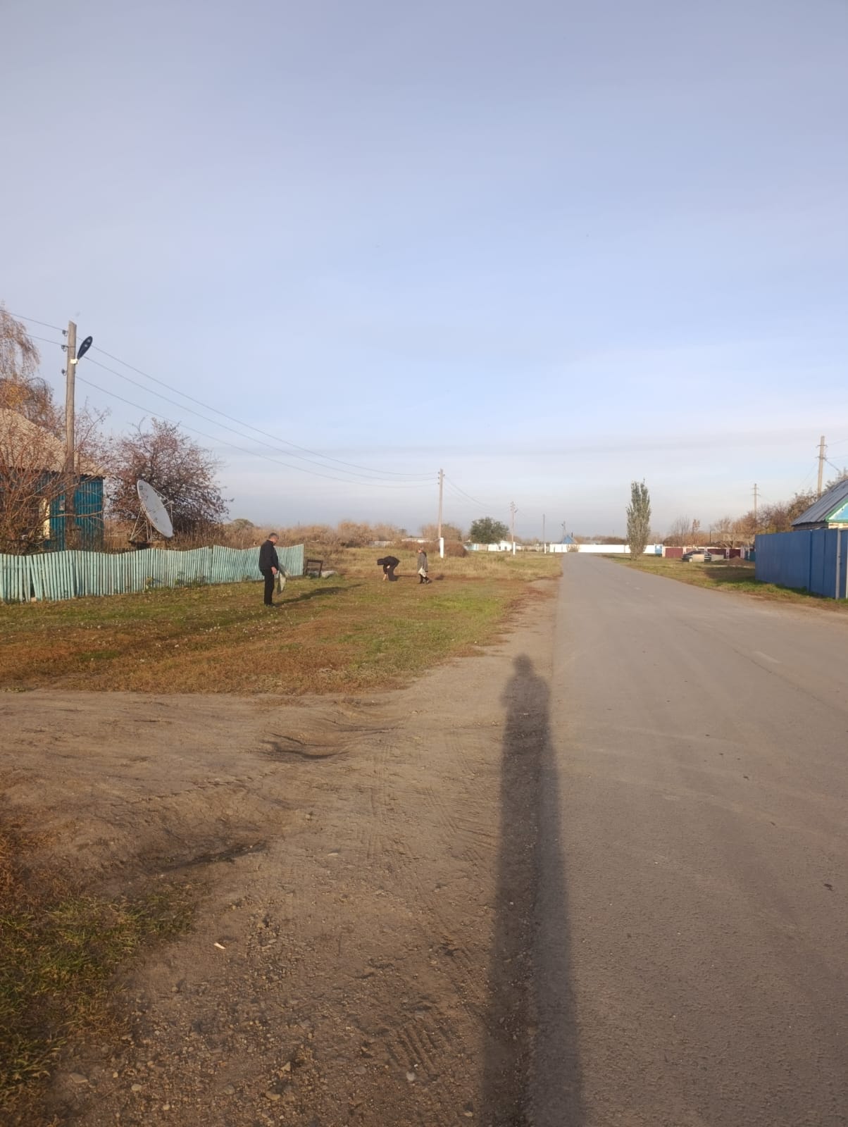 Жалпы облыстық сенбілік