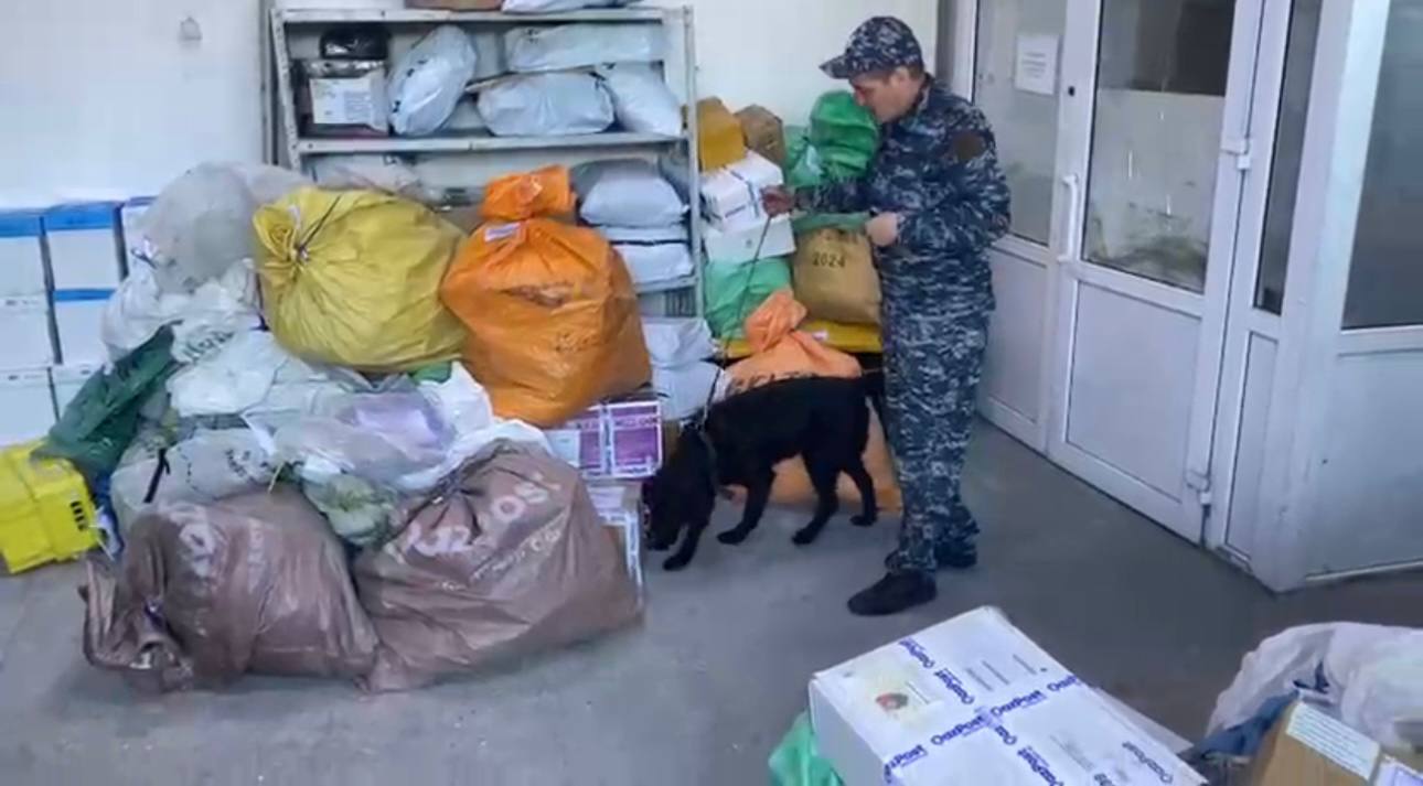 В области Абай с помощью служебных собак раскрыто 60 уголовных дел