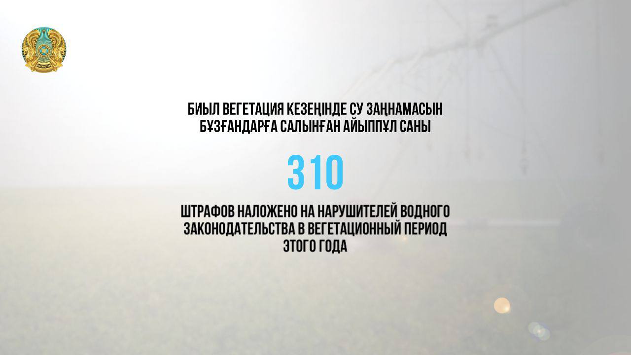 ЦИФРА ДНЯ