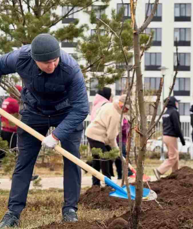 В районе «Сарыарқа высажено более 2 500 деревьев