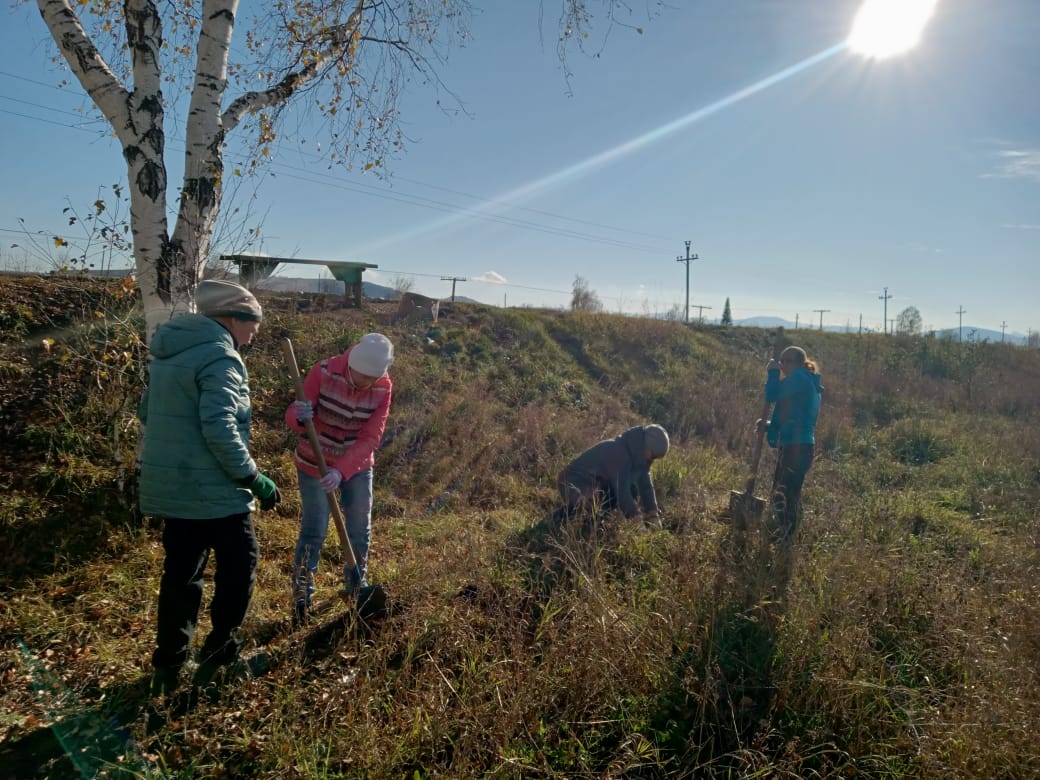 Ағаш отырғызу акциясы