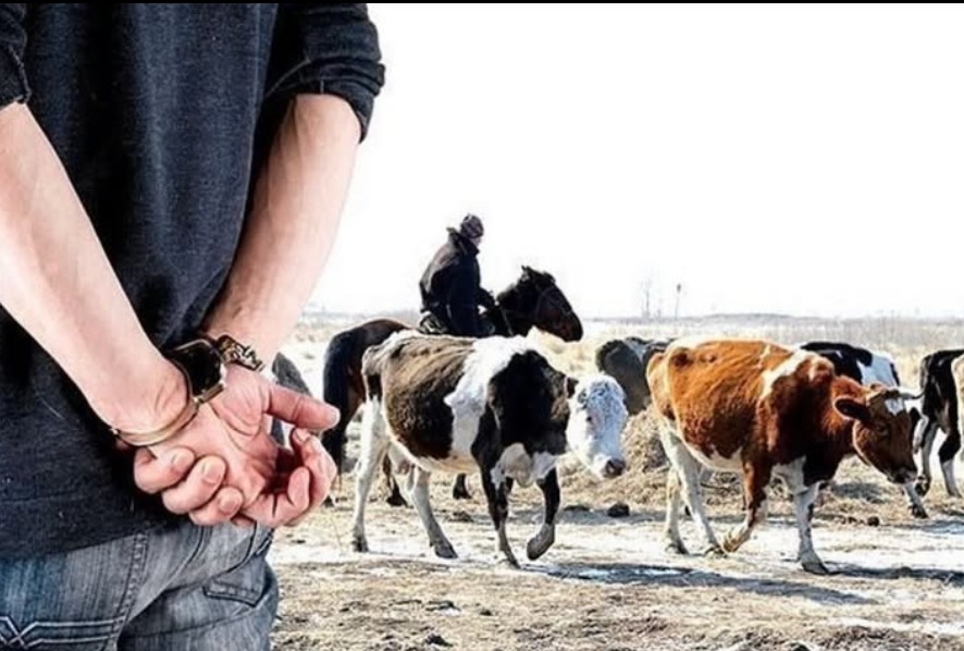 Қаратал ауданының аумағында «Мал ұрлығы» жедел-алдын алу іс-шарасы өткізілуде