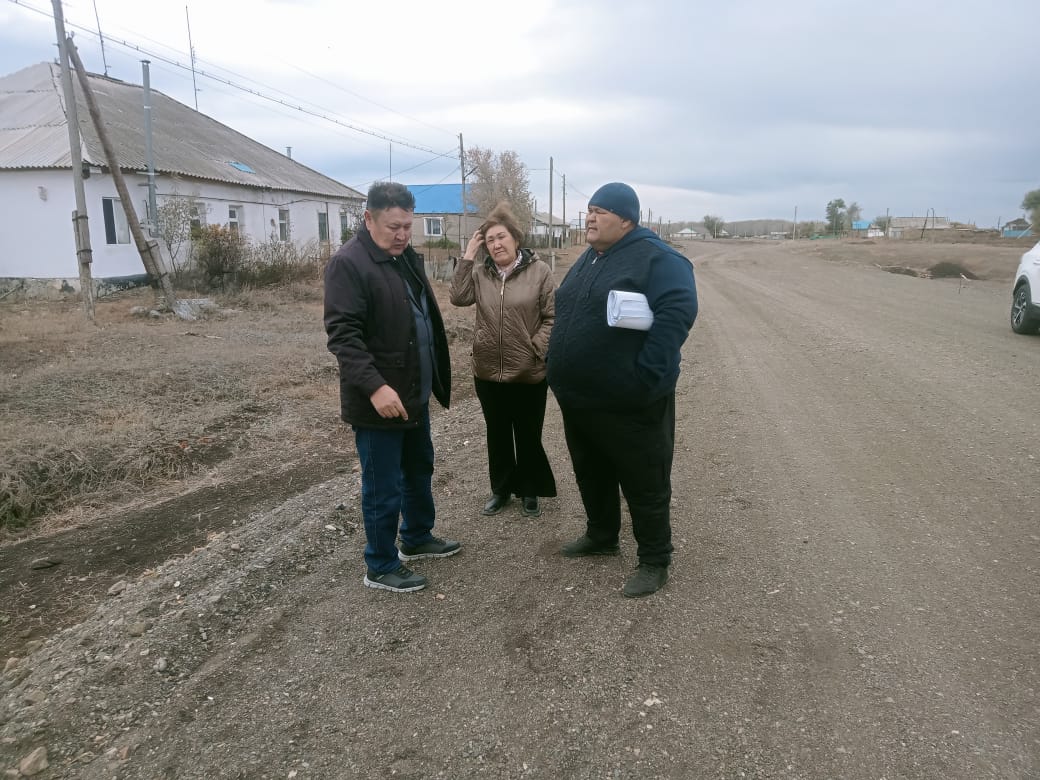 Депутаттық бақылау