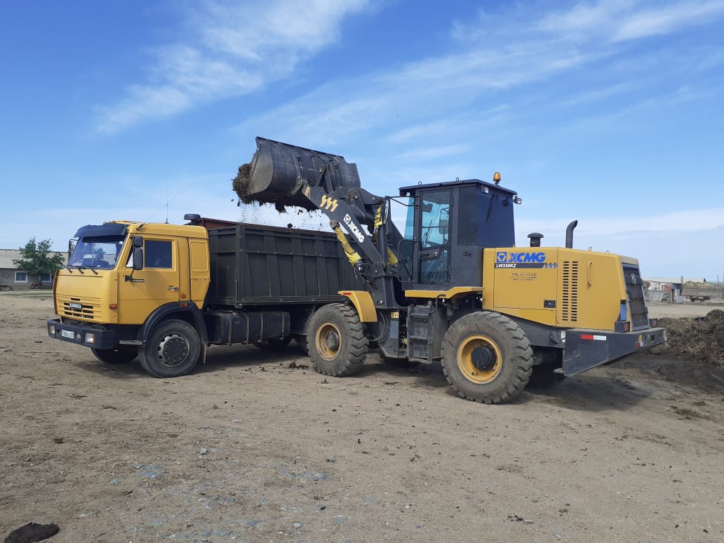 Иесіз қалған күл-қоқысты тазарту жұмыстары