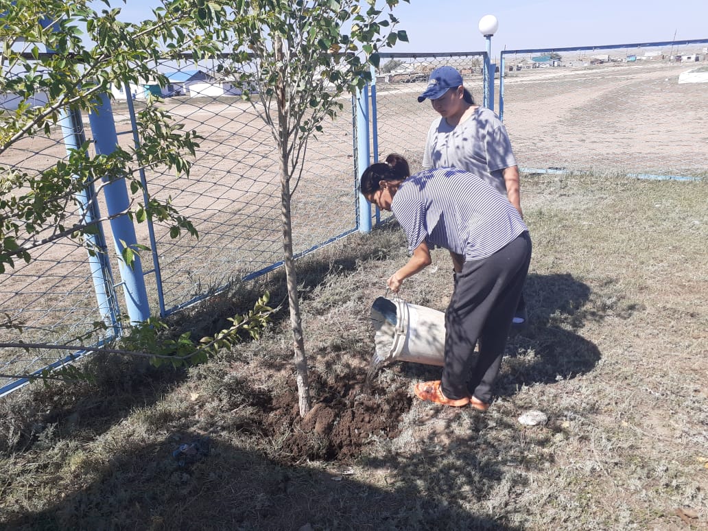 Көктемгі санитарлық тазарту, абаттандыру, көгалдандыру бойынша 2 айлық  "Таза бейсенбі"