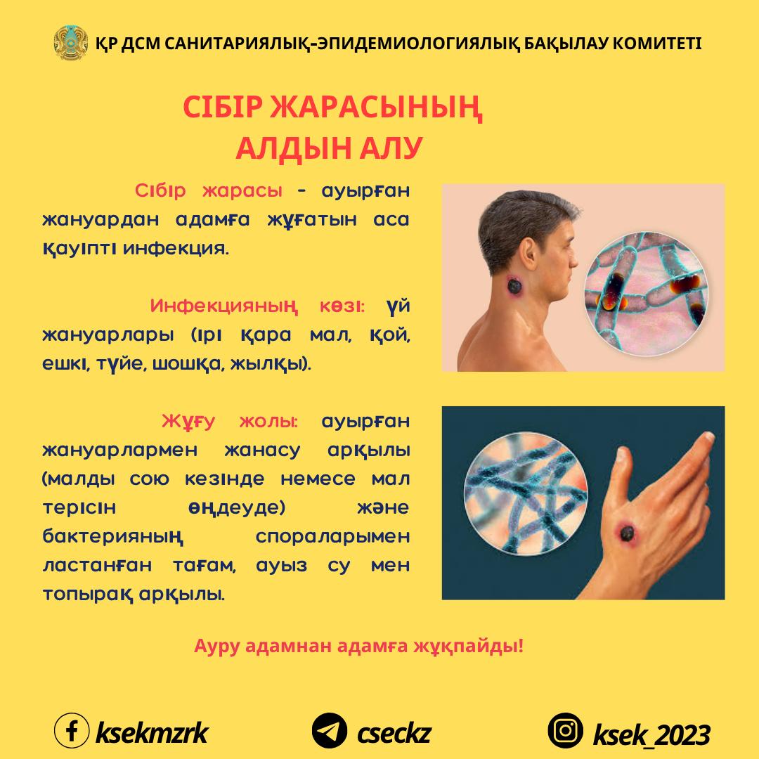 Жесірмен жыныстық қатынас тобының видеосы