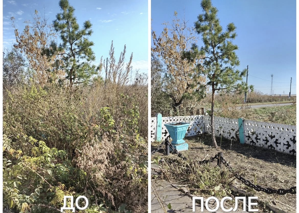 "ТАЗА ҚАЗАҚСТАН"