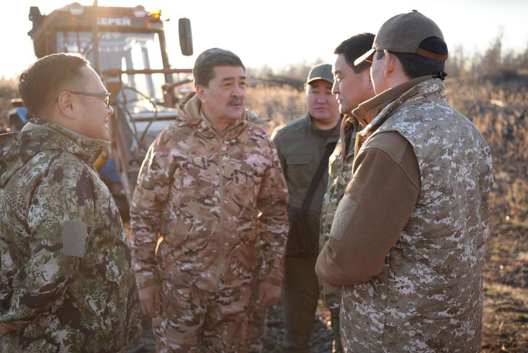 Экология министрі Павлодар және Абай облыстарындағы орман жағдайымен танысты