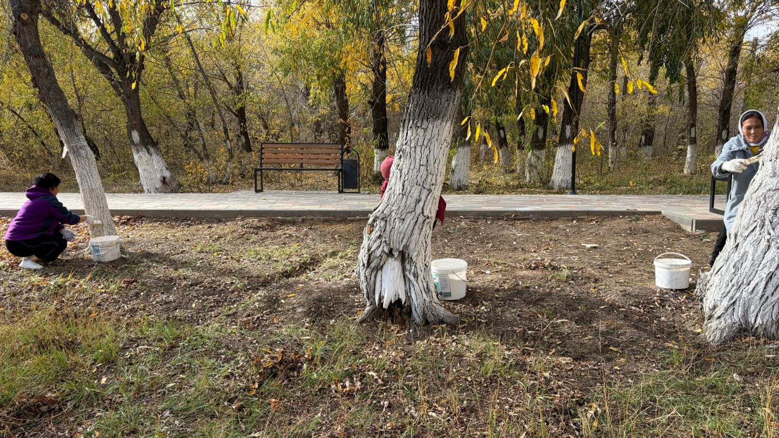 Алға қаласында «Таза Қазақстан» акциясы  аясында сенбілік өтті