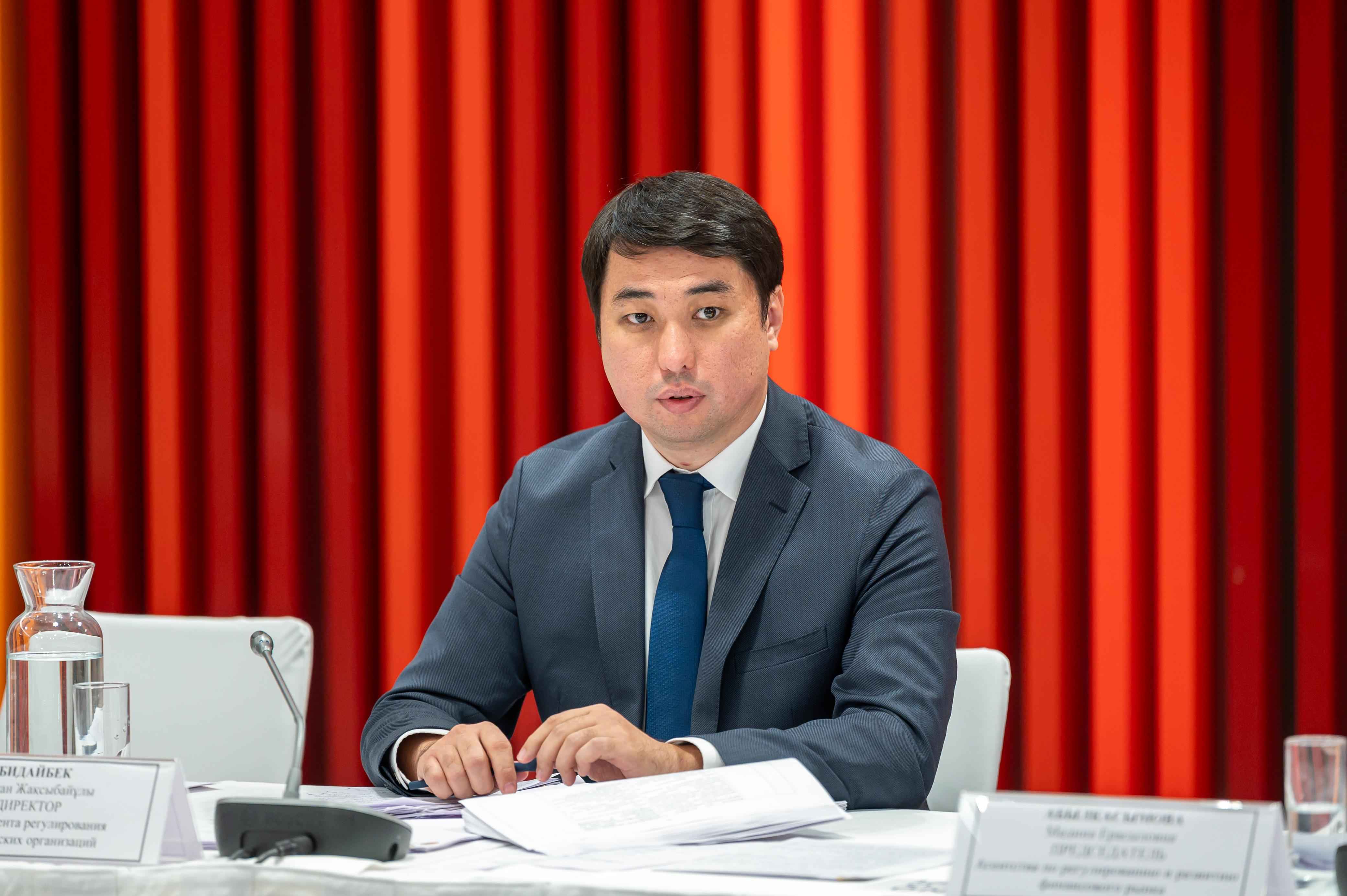 Микроқаржыландыру және коллекторлық қызметтер саласындағы өзін-өзі реттеу моделі туралы