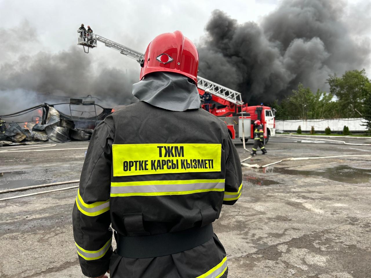 Құтқару миссиясы: артында тағдыр тұрған көрсеткіштер