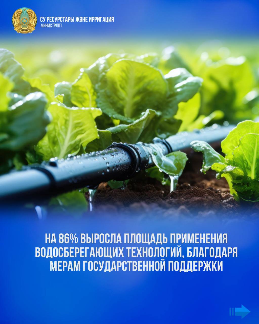 На 86% выросла площадь применения водосберегающих технологий, благодаря мерам государственной поддержки