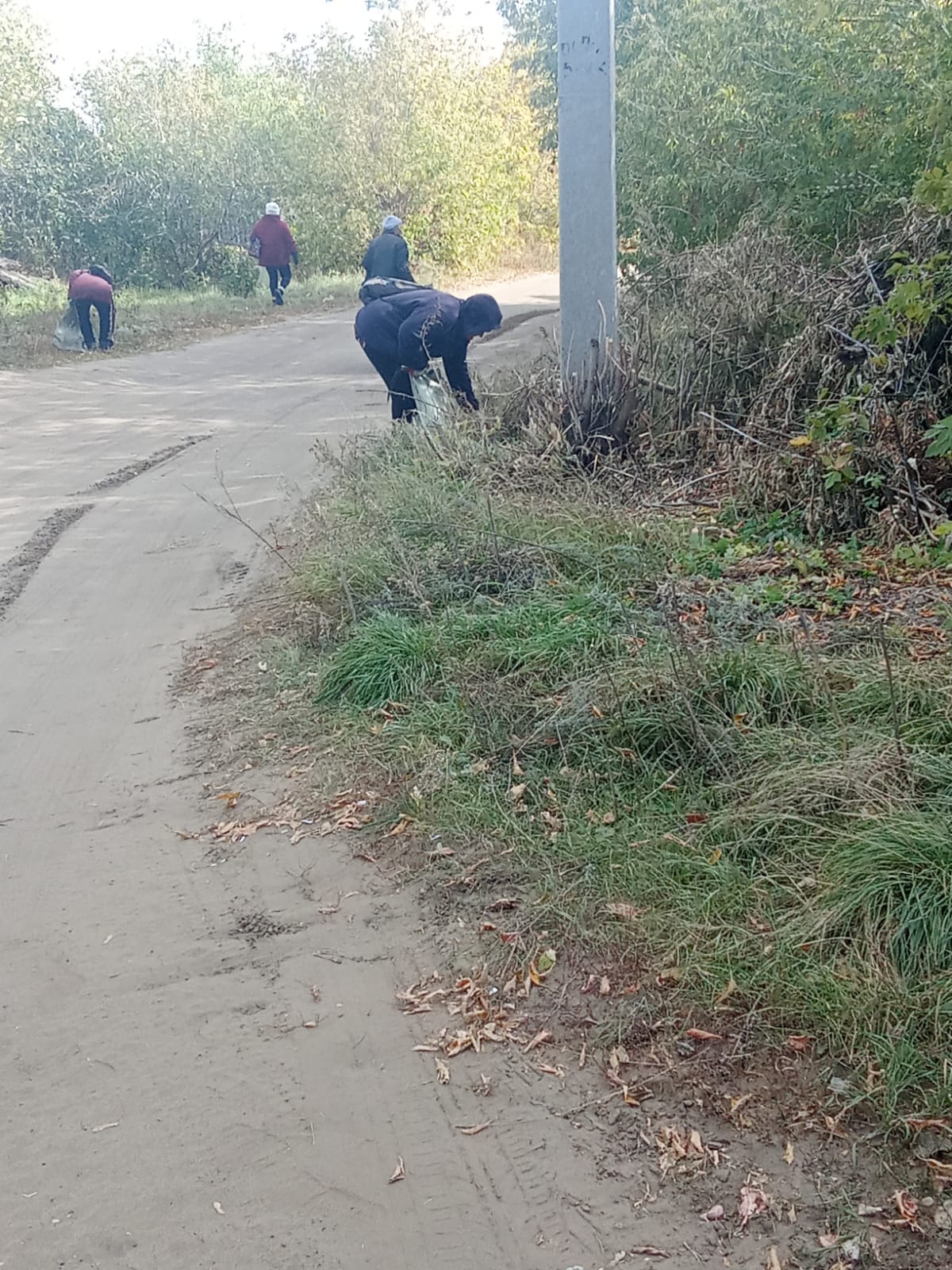 В Аманкарагайском сельском округе ведутся работы в рамках экологической программы "Таза Казақстан"