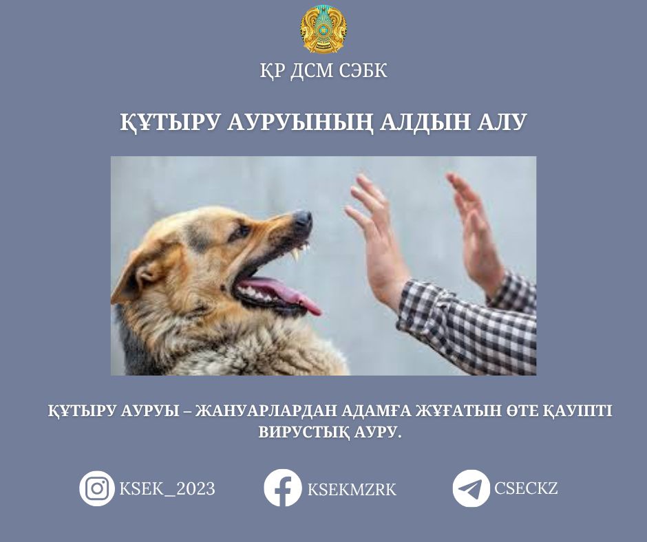 Әсел Сағатовамен секс сахнасы Мүше жартылай тік