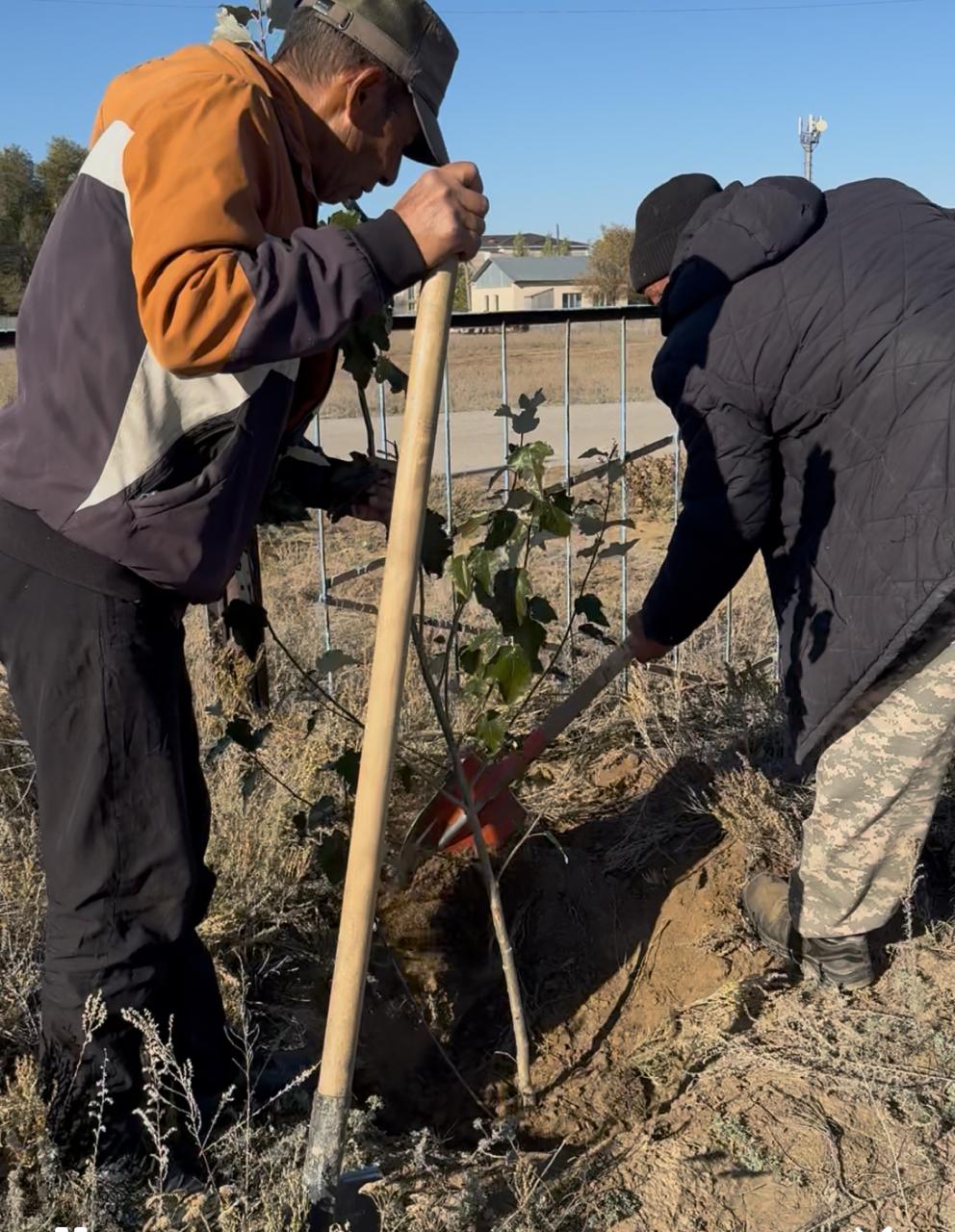 Ағаш отырғызу акциясы өтті