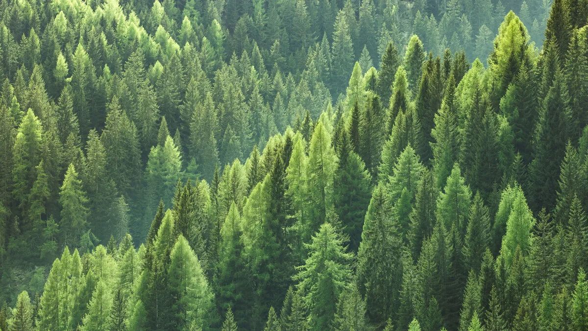 Порно қарт жас жігітті ренжітеді