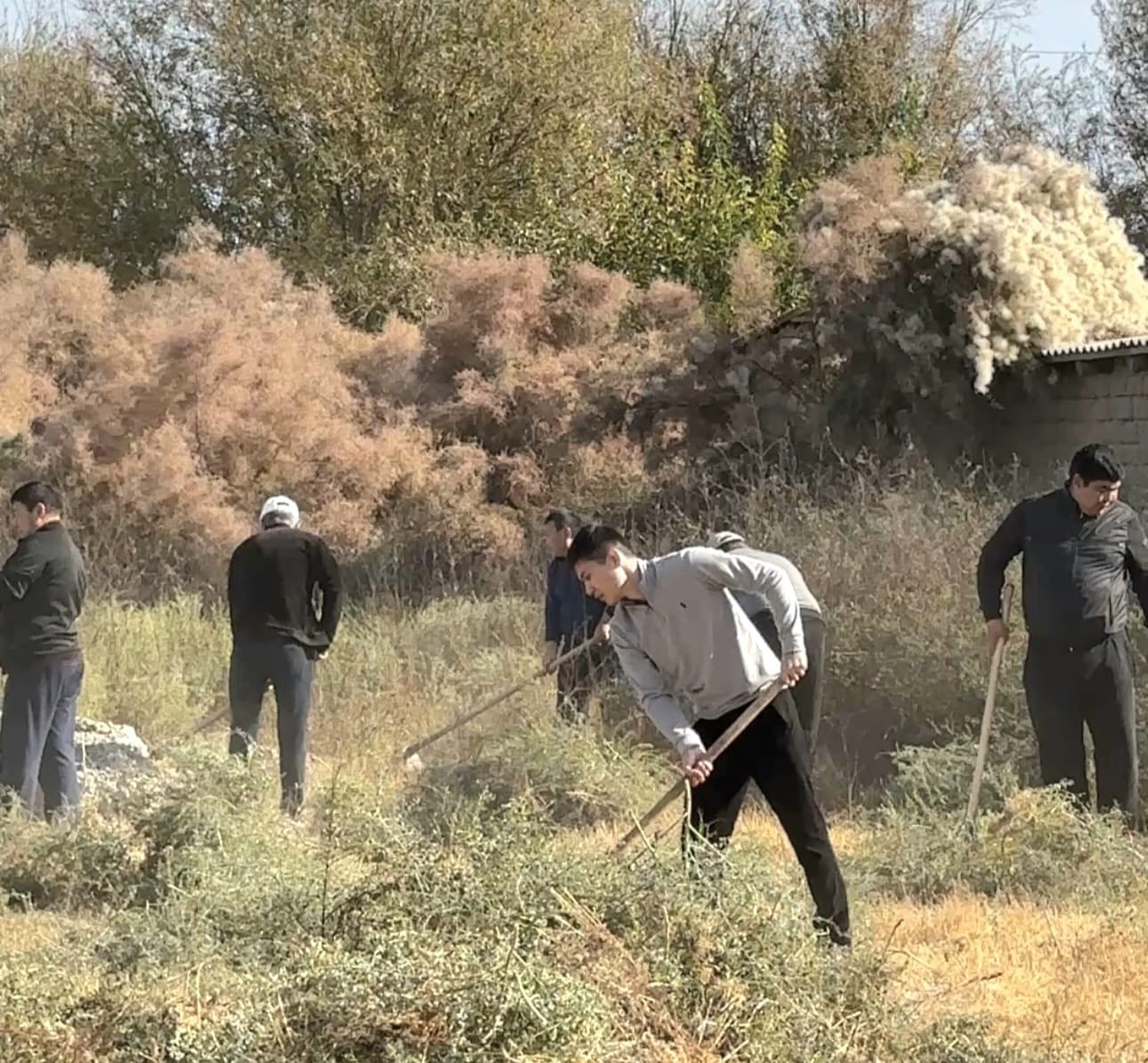 ТҮРКІСТАН: ЖЕТІСАЙДА «ТАЗА ҚАЗАҚСТАН» БАҒДАРЛАМАСЫ АЯСЫНДА ТАЗАЛАУ ЖҰМЫСТАРЫ ЖҮРГІЗІЛДІ