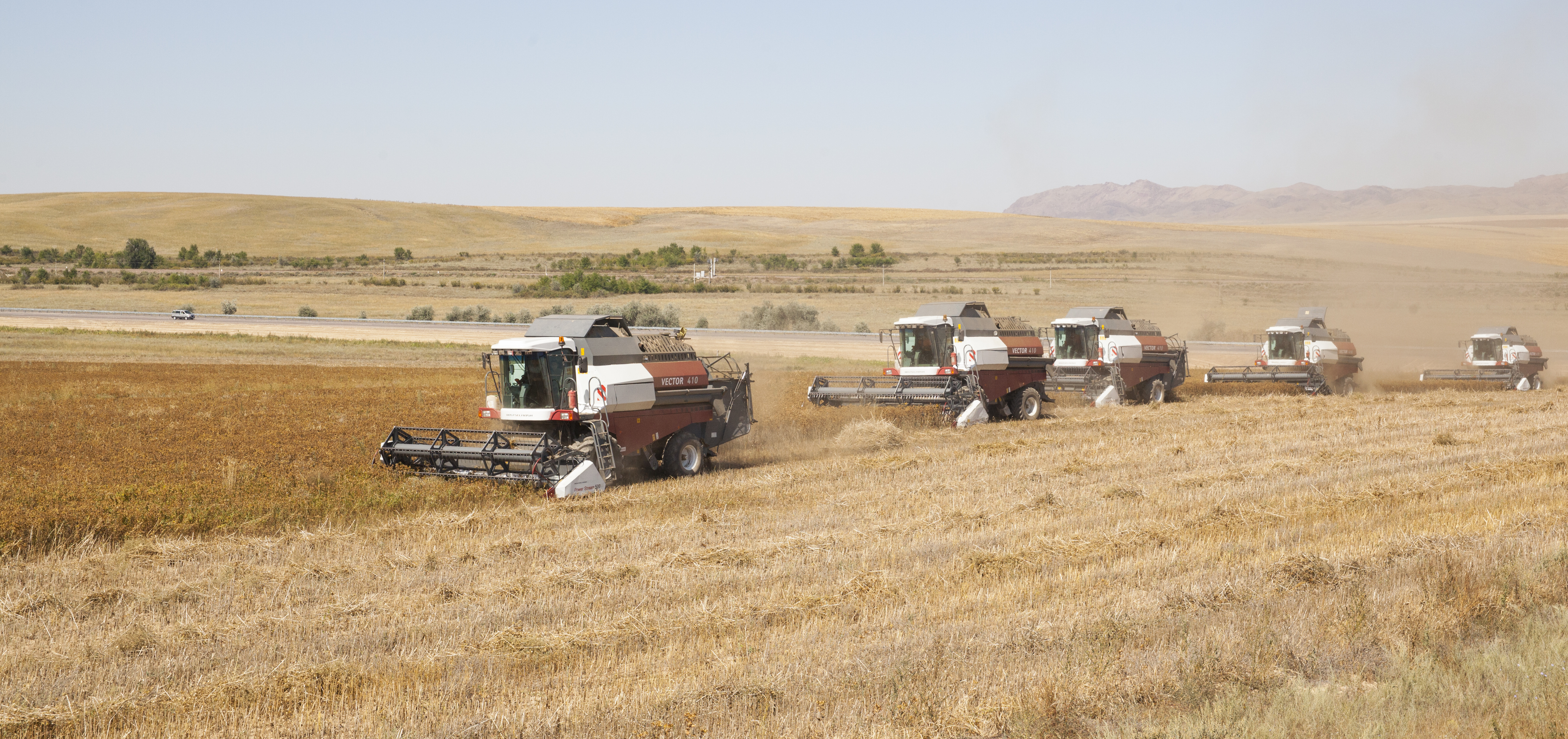 Алматы облысының ауыл шаруашылығы саласы тұрақты өсім көрсетуде