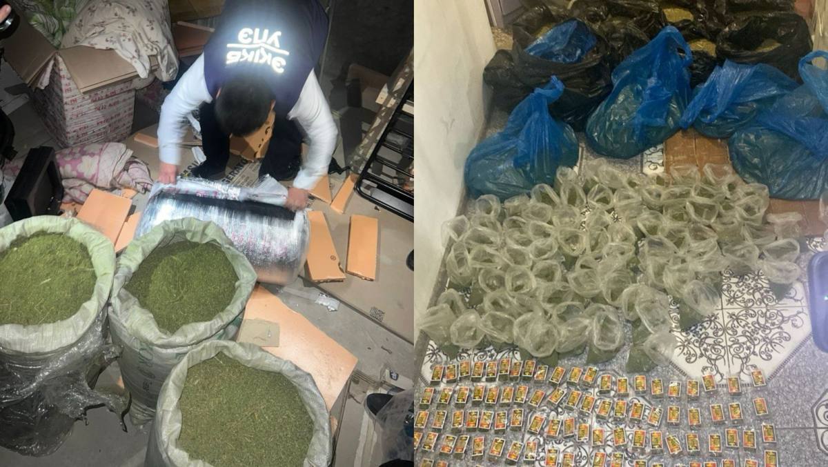 Полиция пресекла крупный канал хранения и распространения наркотиков