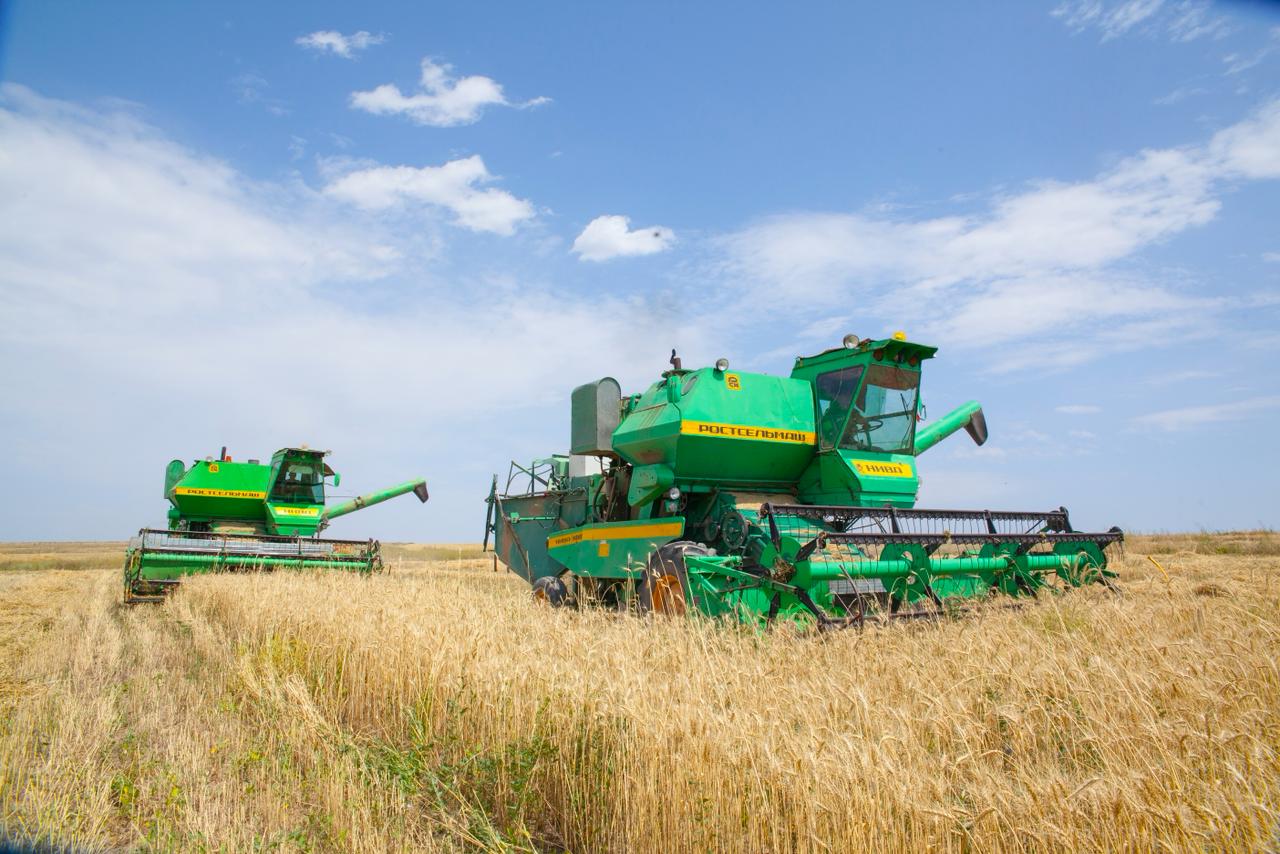 Қазақстанда 26,9 млн тонна астық бастырылды