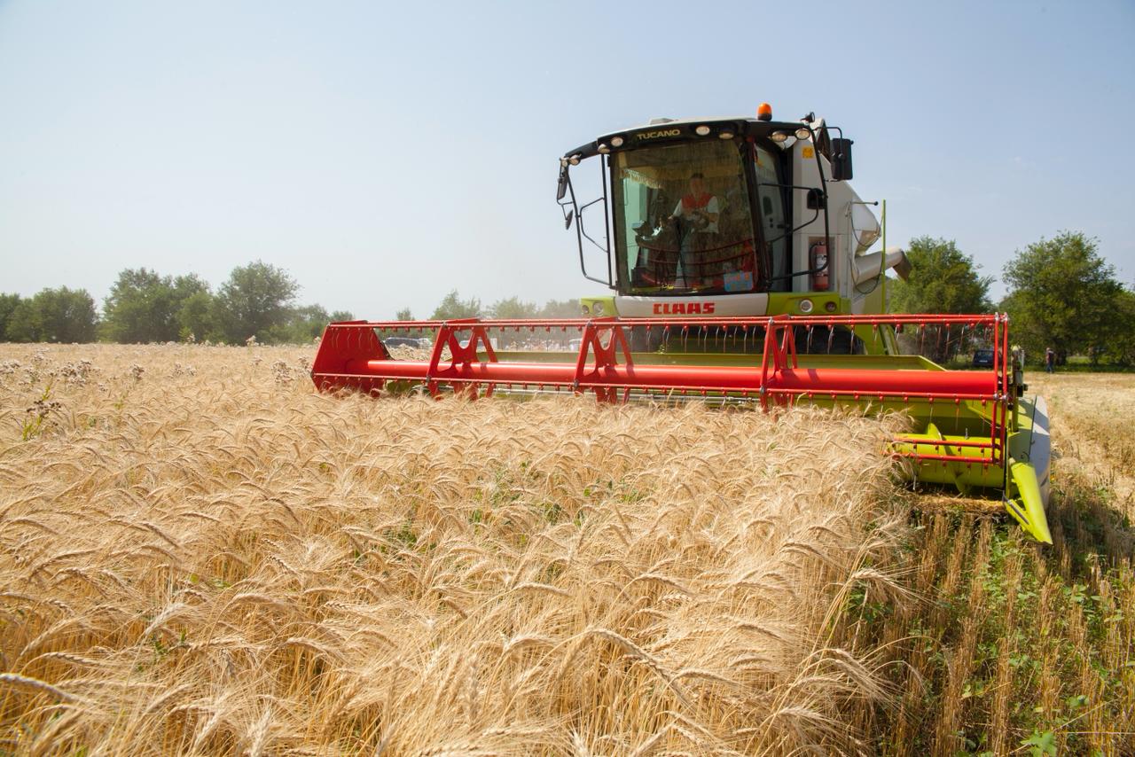 Рекордный урожай и стабильный рост: итоги уборочной кампании 2025 года