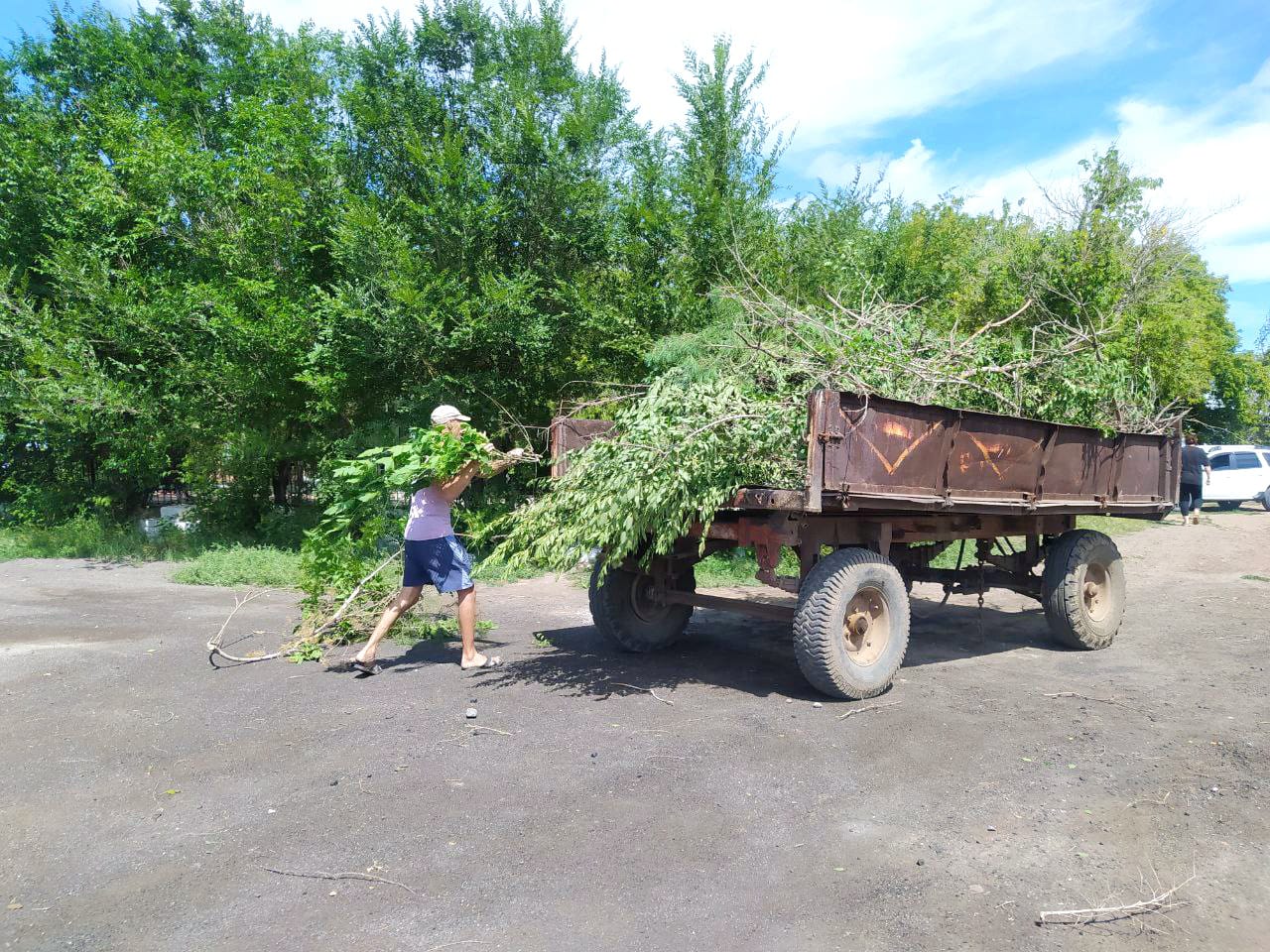 МҰЗБЕЛДЕ АҒАШТАРДЫ САНИТАРЛЫҚ КЕСУ ЖҮРГІЗІЛДІ