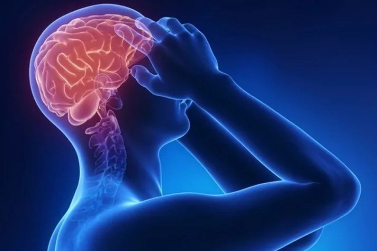 Менингококк инфекциясы