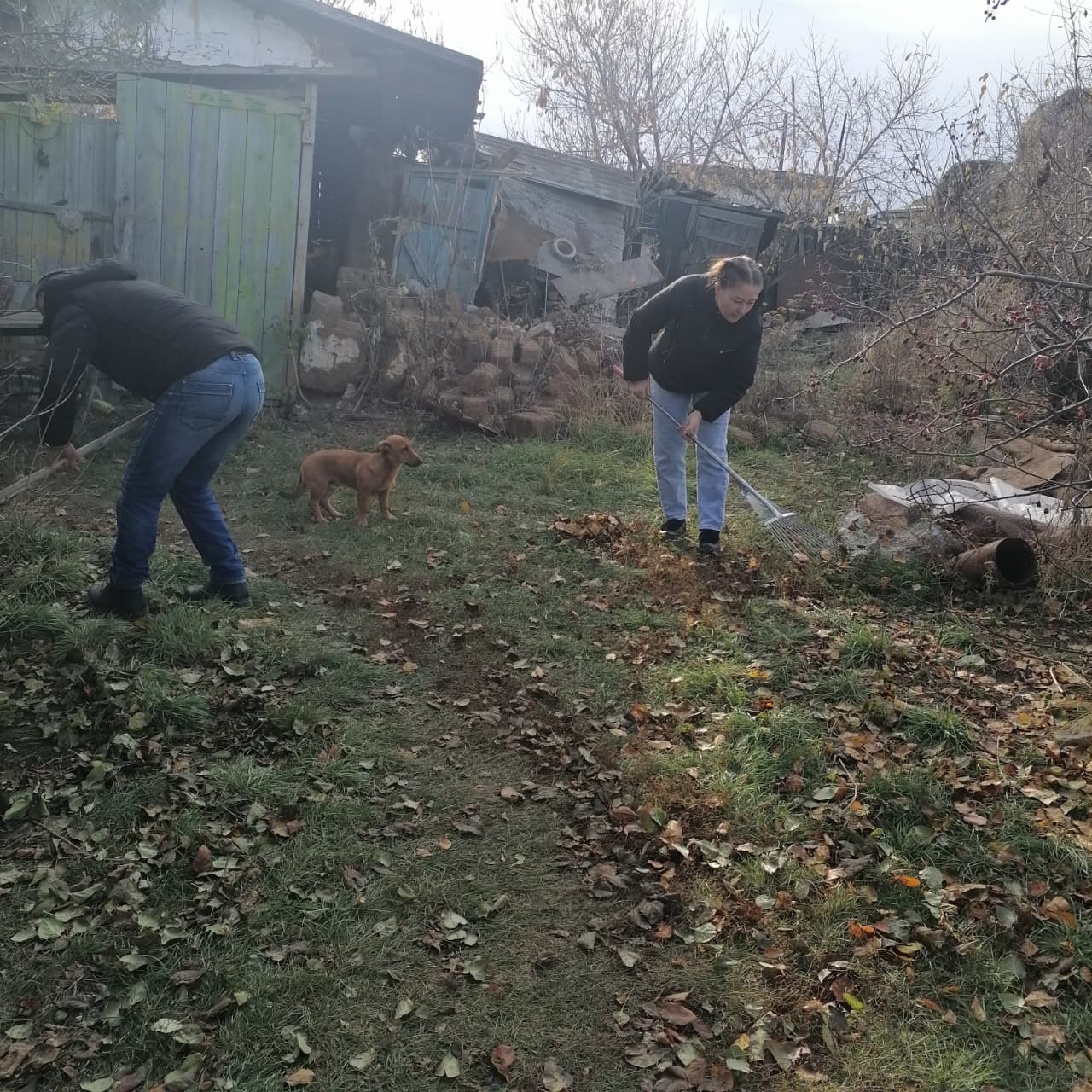 "Таза Қазақстан" Акциясы