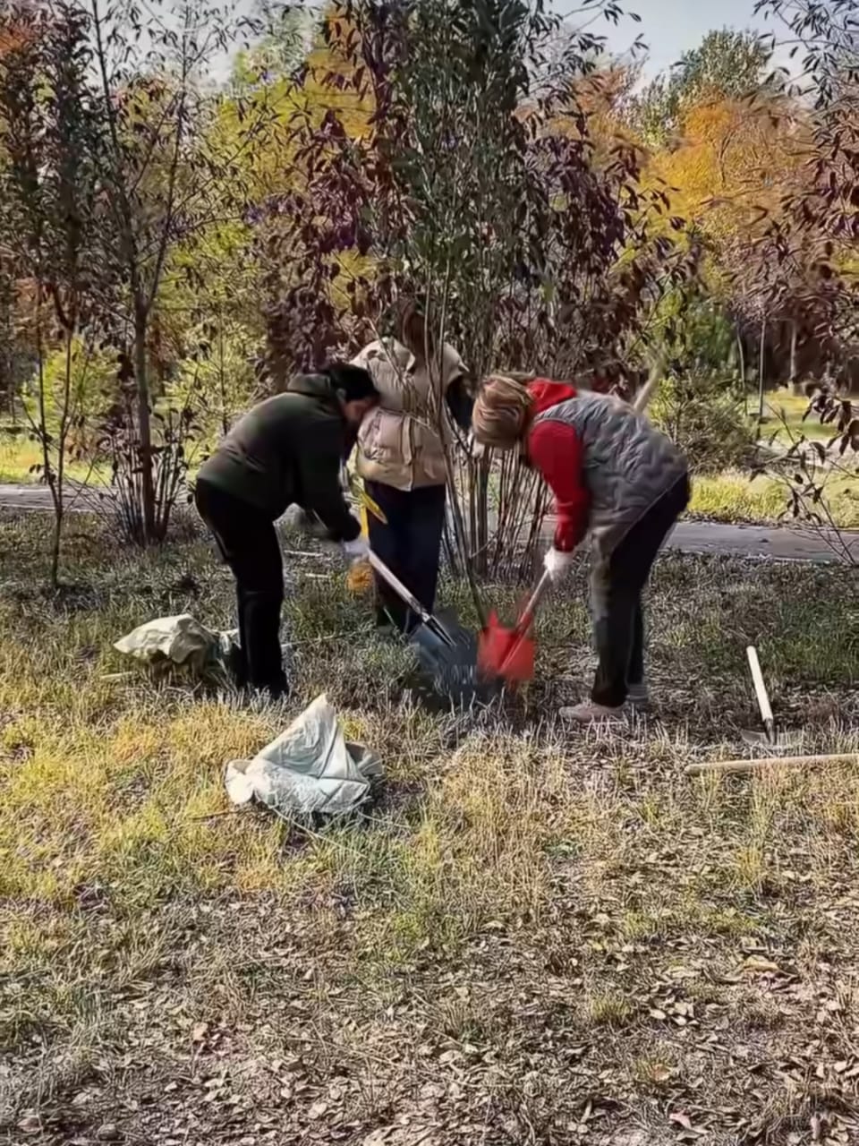 Таза Қазақстан: в районе были организованы локальные субботники