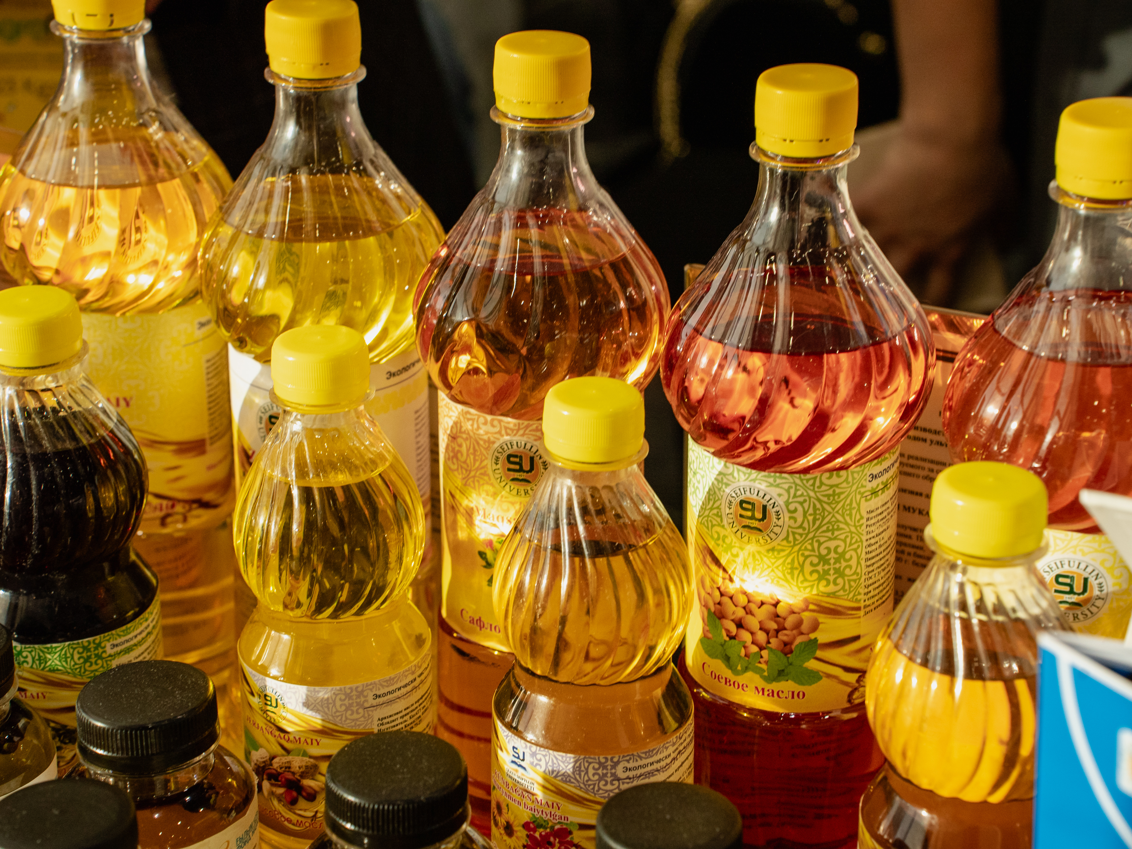 Казахстан произвел 889 тыс. тонн растительного масла в 2025 году