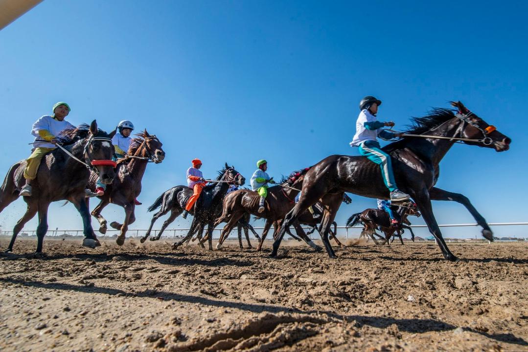 «Алтын күз – 2025» ұлттық ат бәйгесі өтті