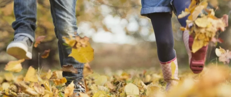 Мектептердегі күзгі демалысты ұйымдастыру