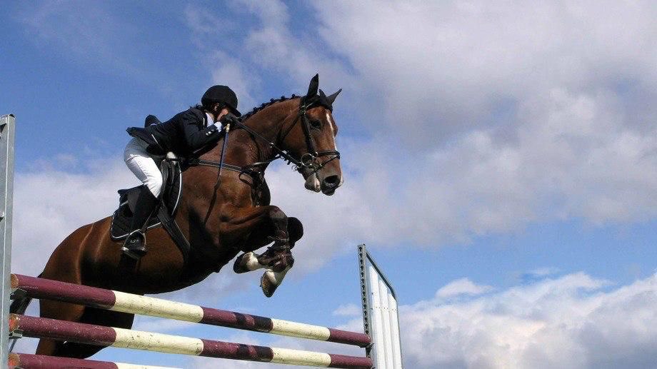 В Астане состоится чемпионат Казахстана по конкуру