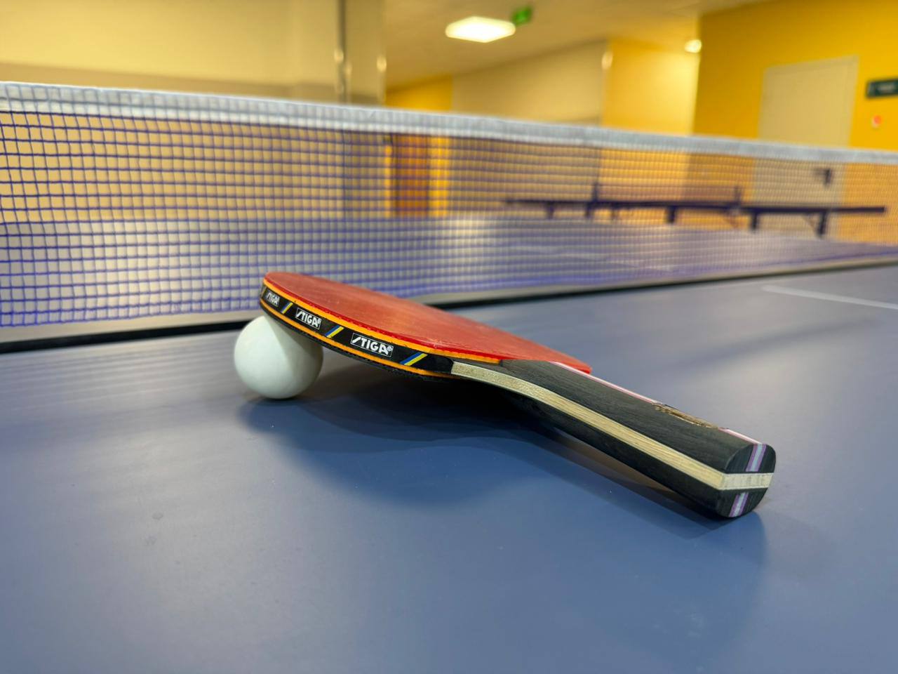 Астанада Amanat партиясы бастауыш ұйымдарының спартакиадасы басталды