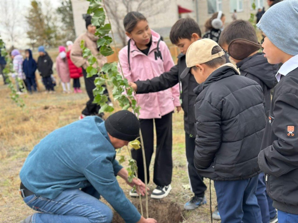 БОЛАШАҚҚА ТАМЫР ЖАЙ