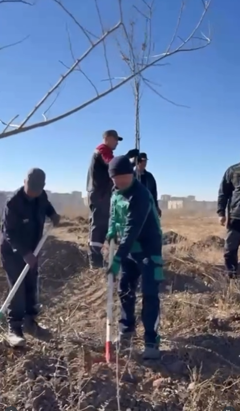 В рамках акции «Таза Қазақстан» в Индустриальном парке №1 было высажено более 1000 деревьев