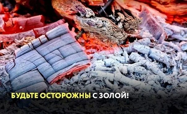 Шарбақты ауданының ТЖБ ескертеді: күлді рұқсат етілмеген жерлерге төгуге болмайды