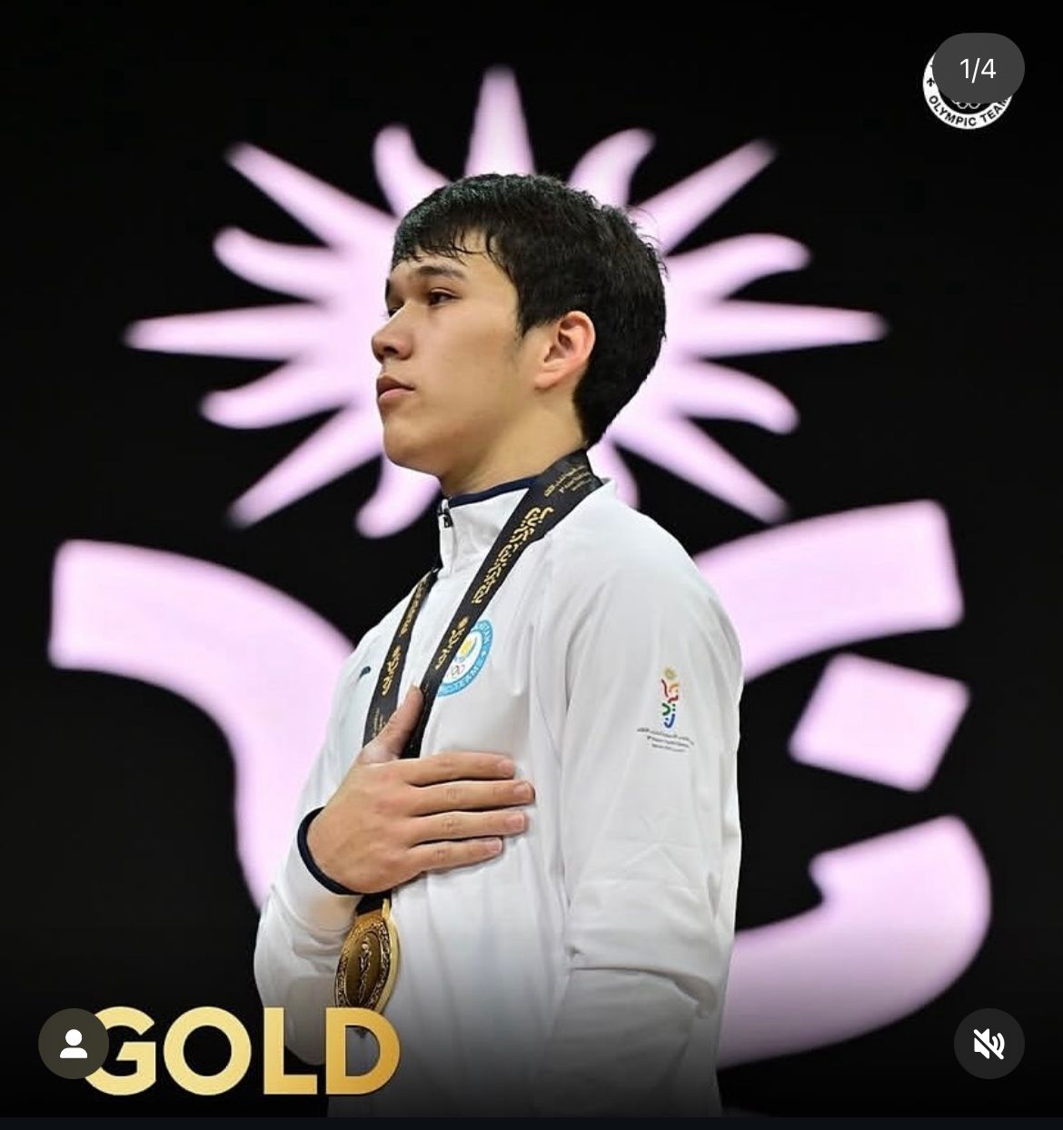 Үлкен кеуделі және кеуделі балапандар