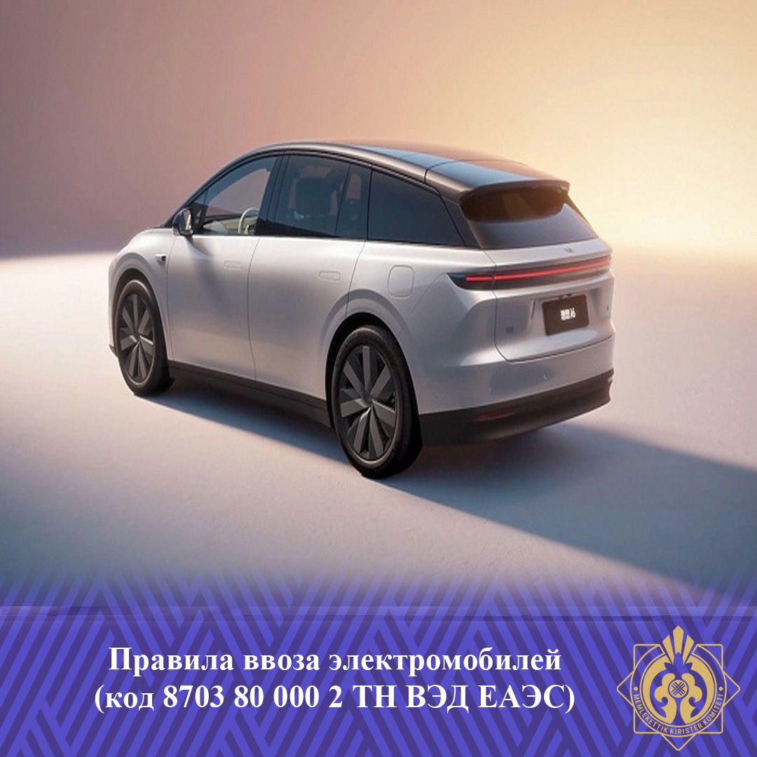 Мемлекеттік кірістер комитеті азаматтарға электркөліктерді әкелу қағидалары туралы хабарлайды (ЕАЭО СЭҚ ТН 8703 80 000 2 коды)
