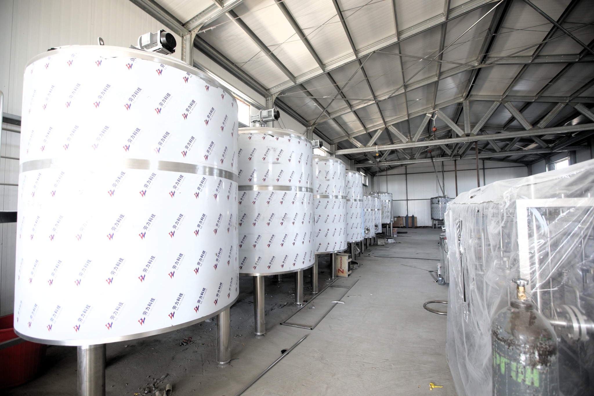 Ауданда түйе сүтінен құрғақ ұнтақ өндіріле бастайды