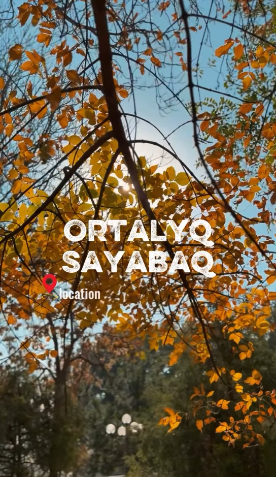 🌳 В Центральном парке проведены работы по благоустройству!