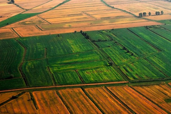 Беркованың қызбен жыныстық қатынасқа түсуін қараңыз Беркованың қызбен жыныстық қатынасқа түсуін қараңыз