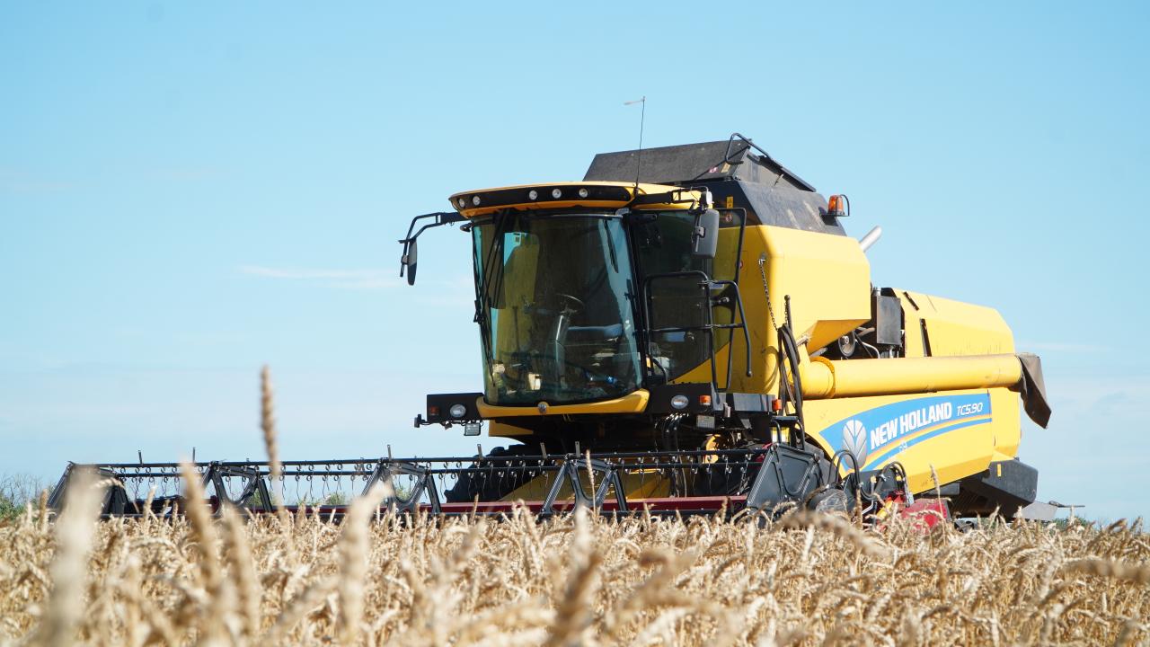 Ақмола облысының диқандары тарихи межеден өтті — 7,6 миллион тонна астық жиналды